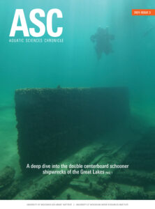 a diver going to view a shipwreck