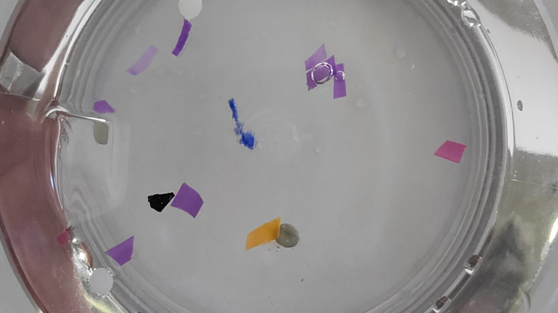 Microplastics may be colorful, but can cause environmental and food web issues in the Great Lakes. Image credit: Marie Zhuikov, Wisconsin Sea Grant