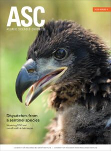 Aquatic Sciences Chronicle 2025 Issue 4 cover featuring large image of a juvenile bald eagle facing the viewer showing just the bird's head and face.